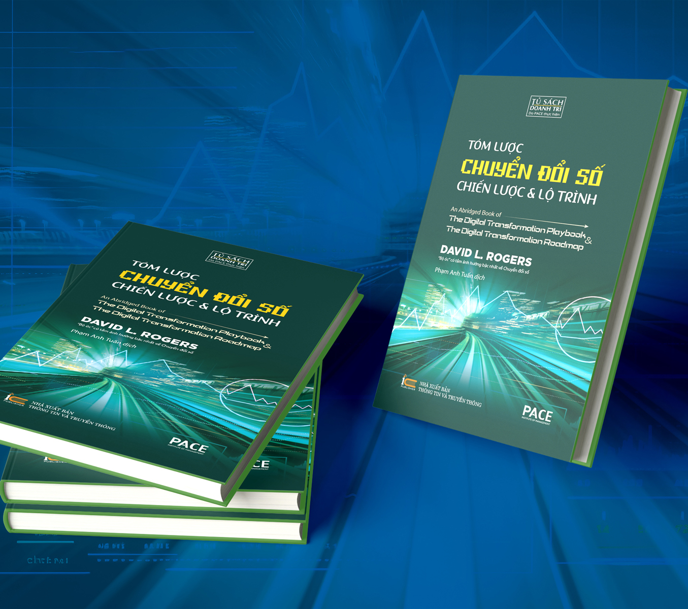 tóm lược chuyển đổi số - chiến lược và lộ trình - Ảnh 3