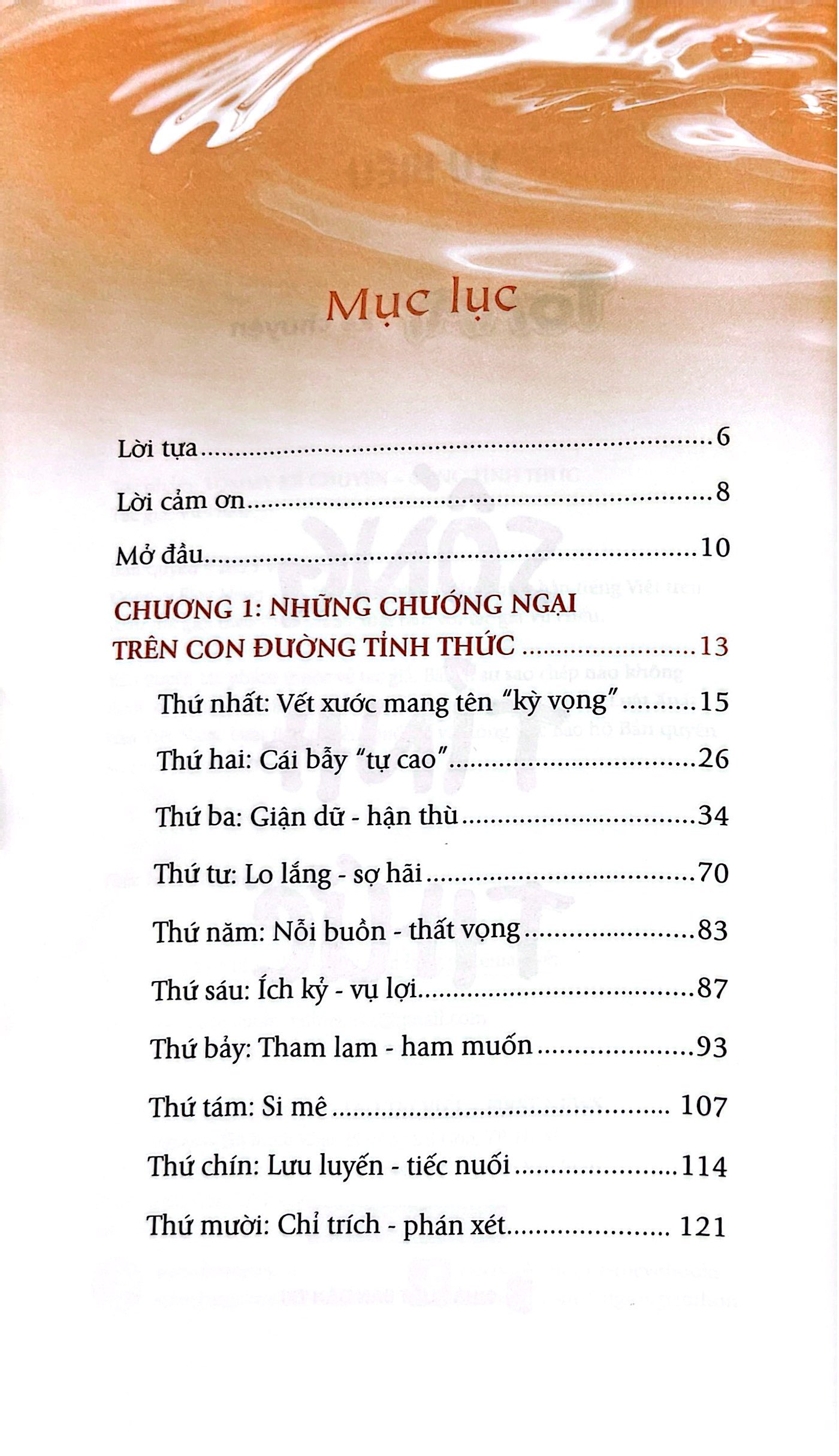 Tommy Ke Chuyen - Song Tinh Thuc - Ảnh 3