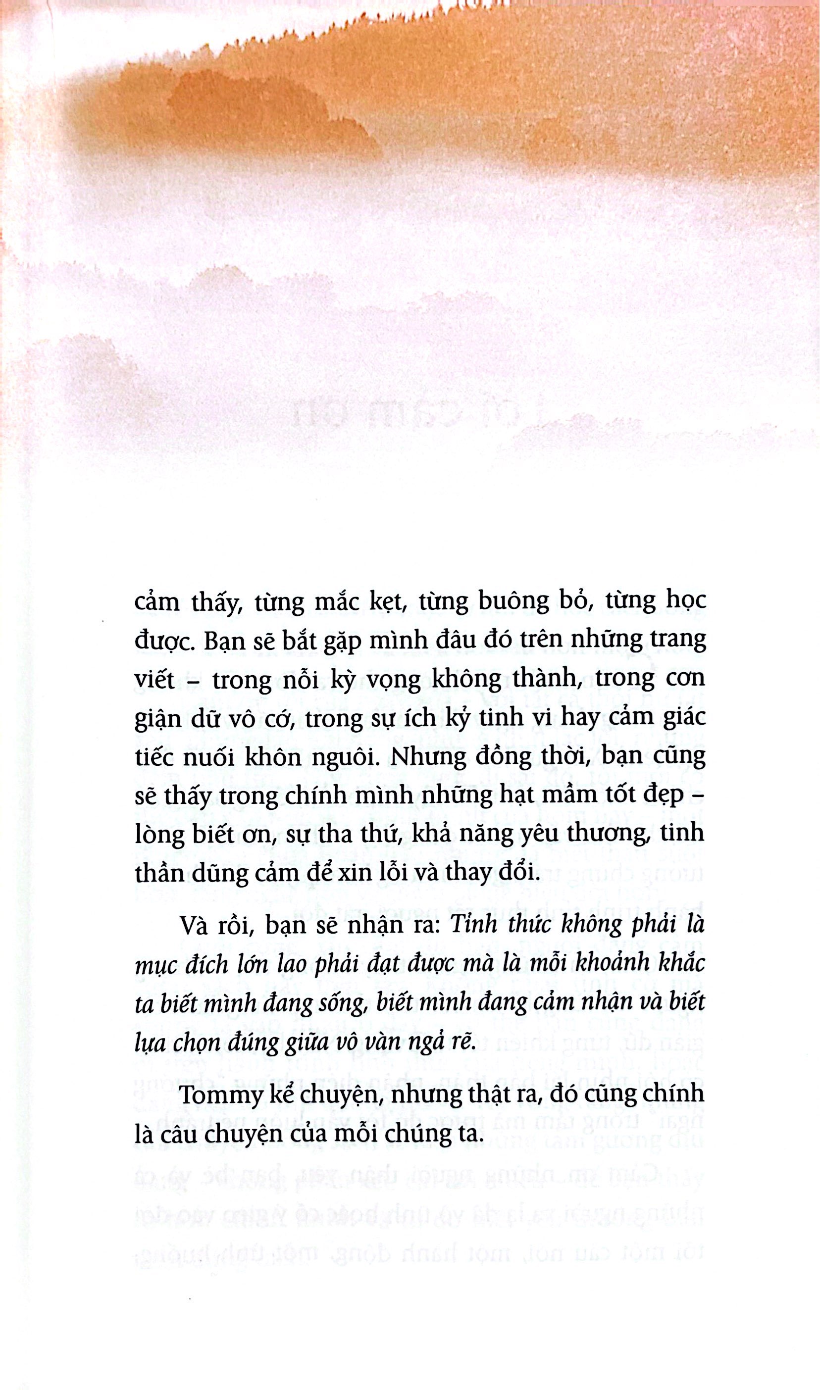 Tommy Ke Chuyen - Song Tinh Thuc - Ảnh 6