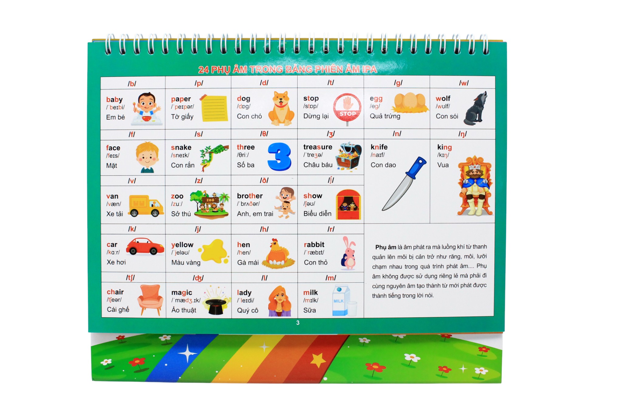 Tổng Hợp Tiếng Anh Tiểu Học - Ảnh 7