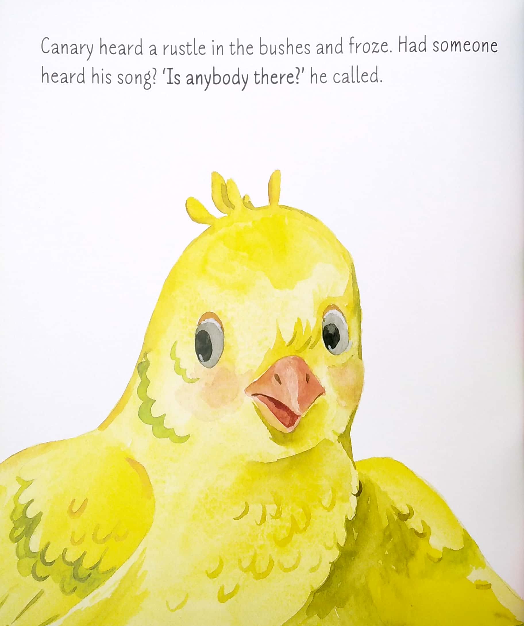 too shy to sing - Ảnh 5