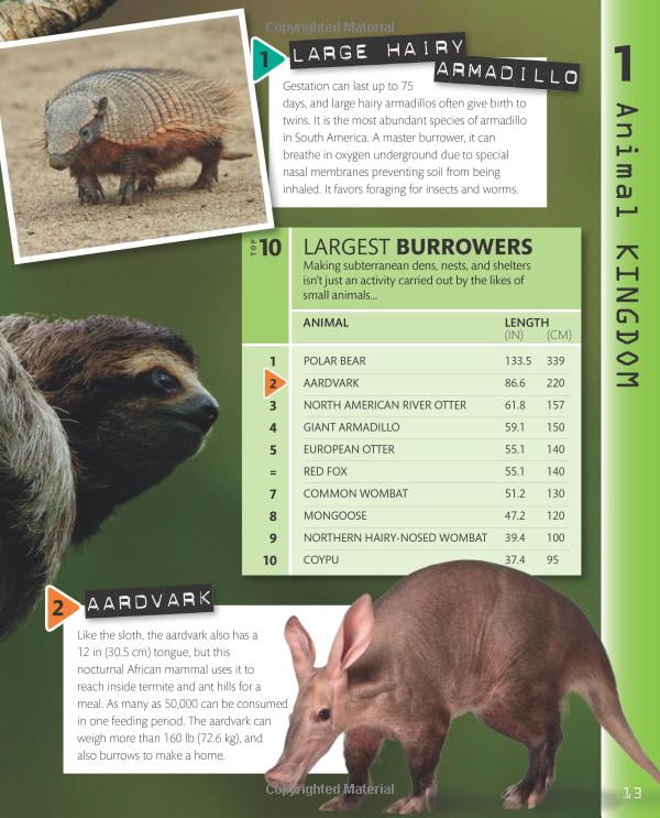 top 10 of everything 2018 - Ảnh 10