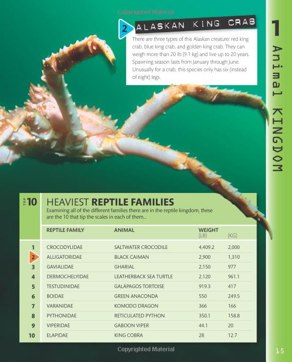 top 10 of everything 2018 - Ảnh 11