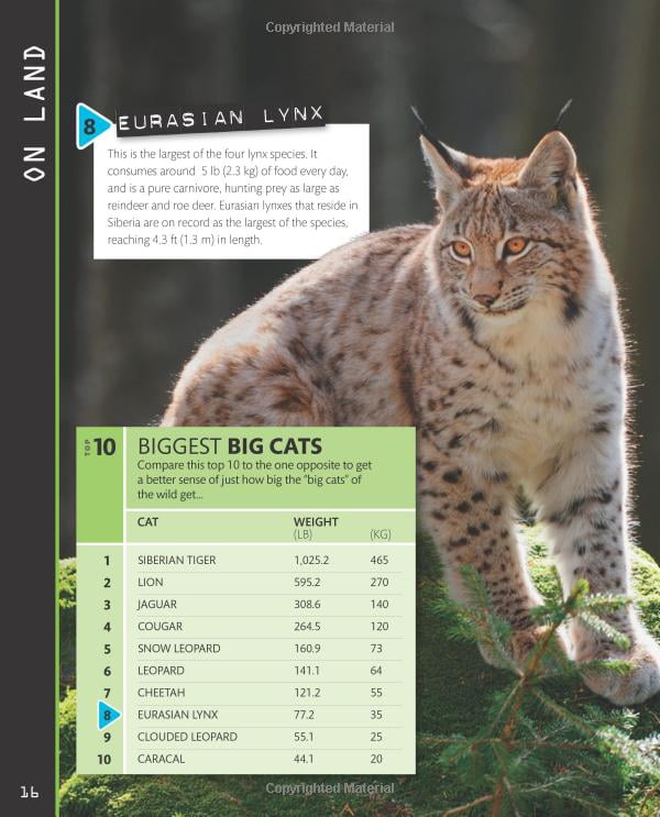 top 10 of everything 2018 - Ảnh 12