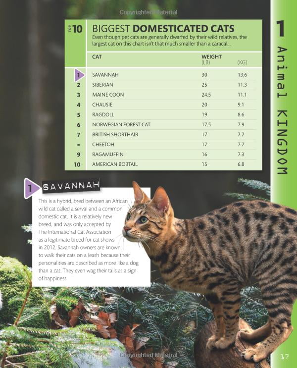 top 10 of everything 2018 - Ảnh 13