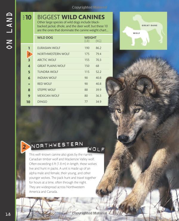 top 10 of everything 2018 - Ảnh 14