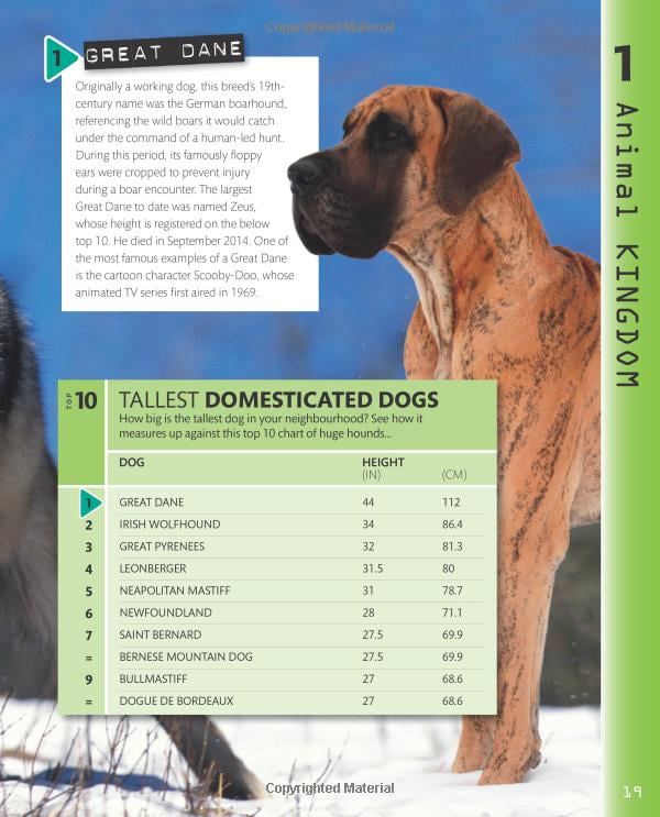 top 10 of everything 2018 - Ảnh 15