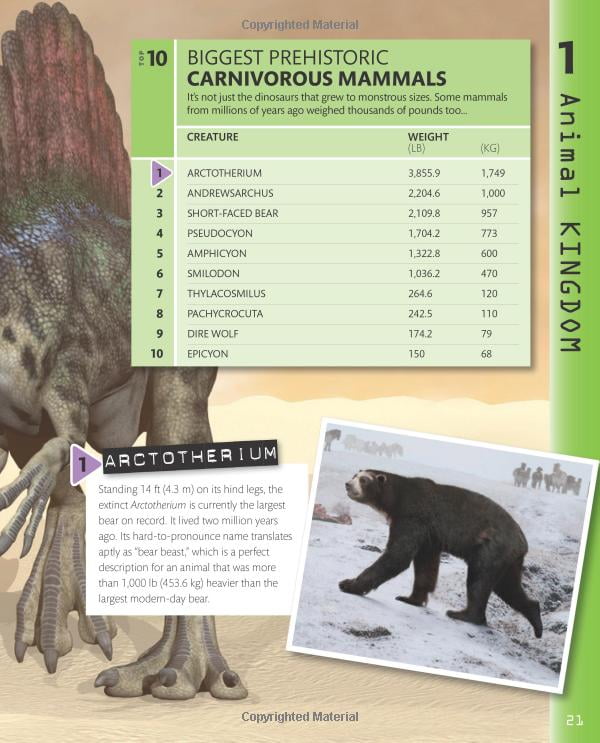 top 10 of everything 2018 - Ảnh 16