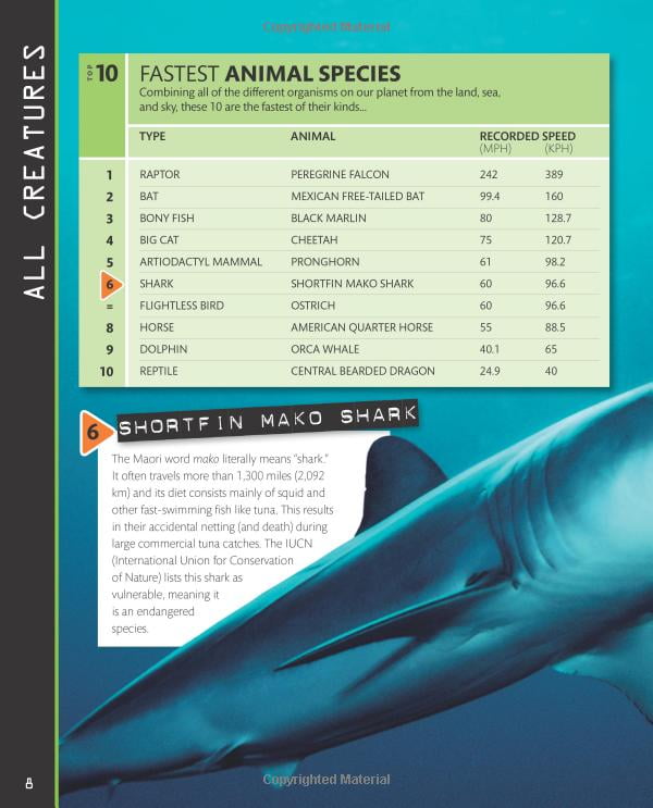 top 10 of everything 2018 - Ảnh 5