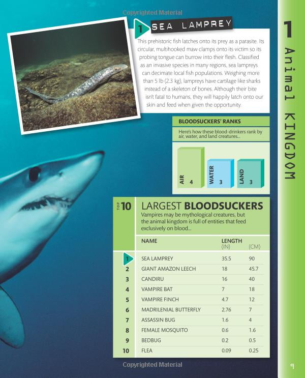 top 10 of everything 2018 - Ảnh 6