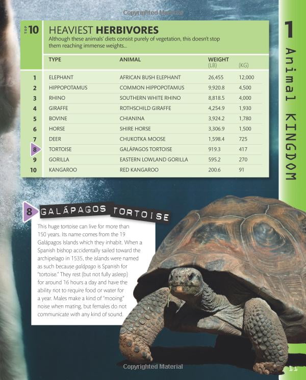 top 10 of everything 2018 - Ảnh 8