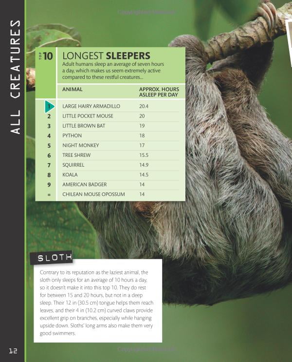 top 10 of everything 2018 - Ảnh 9