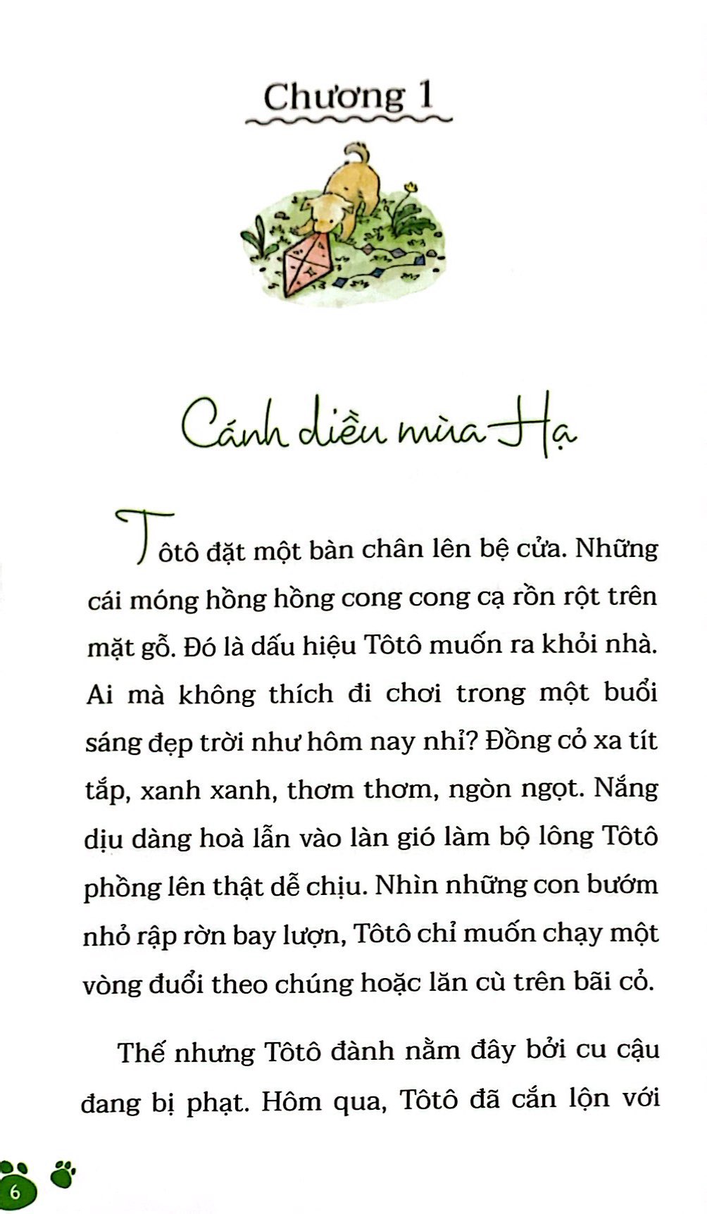 tôtô - chú chó với ước mơ bay - Ảnh 5