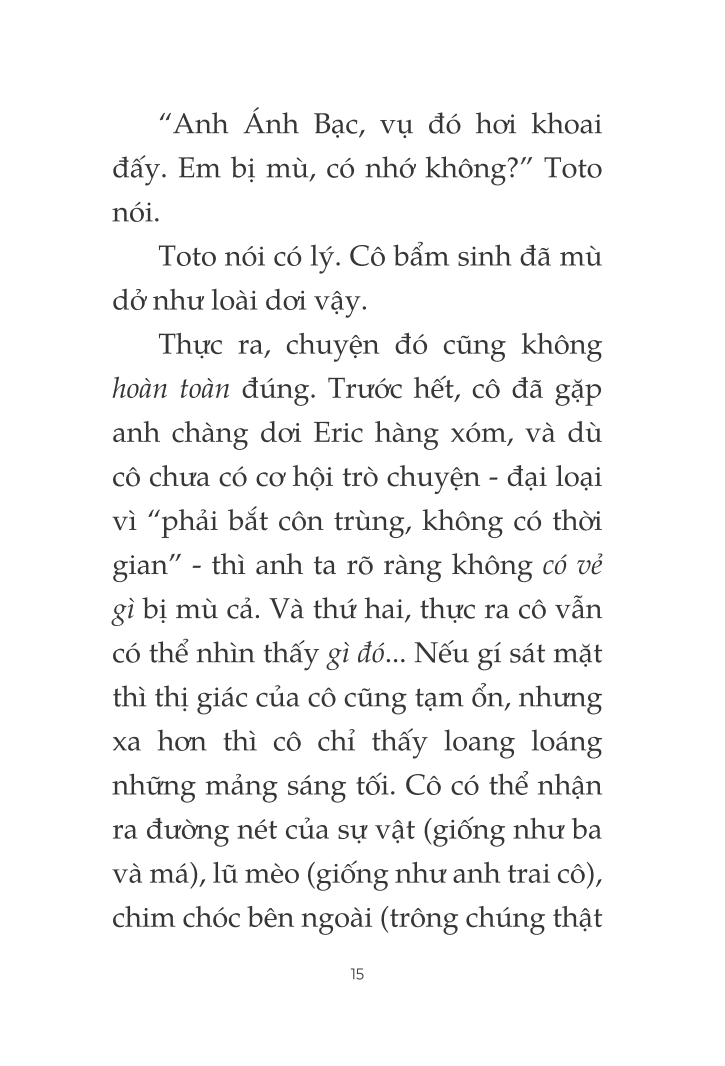 toto - cô mèo ninja - Ảnh 10