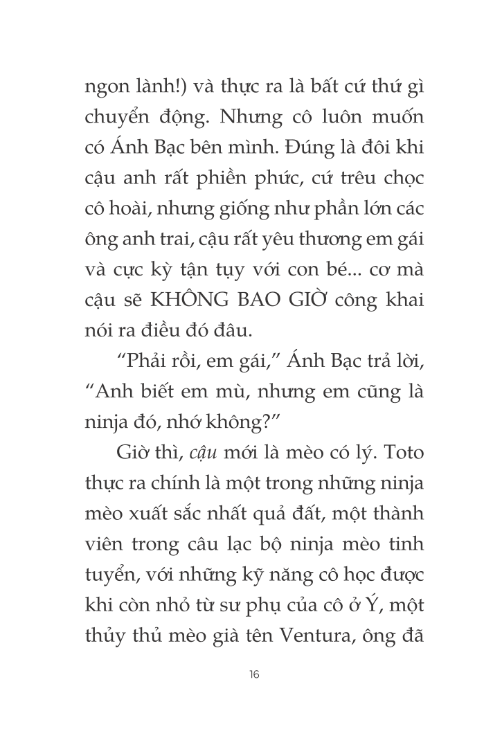 toto - cô mèo ninja - Ảnh 11