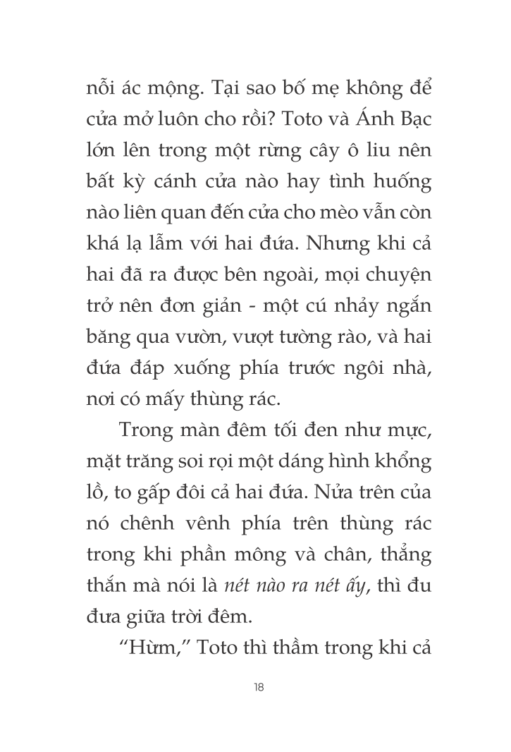 toto - cô mèo ninja - Ảnh 13