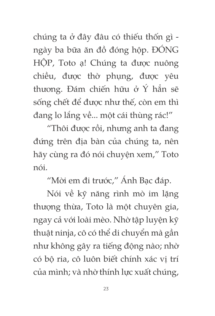 toto - cô mèo ninja - Ảnh 18