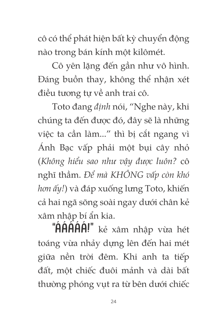 toto - cô mèo ninja - Ảnh 19