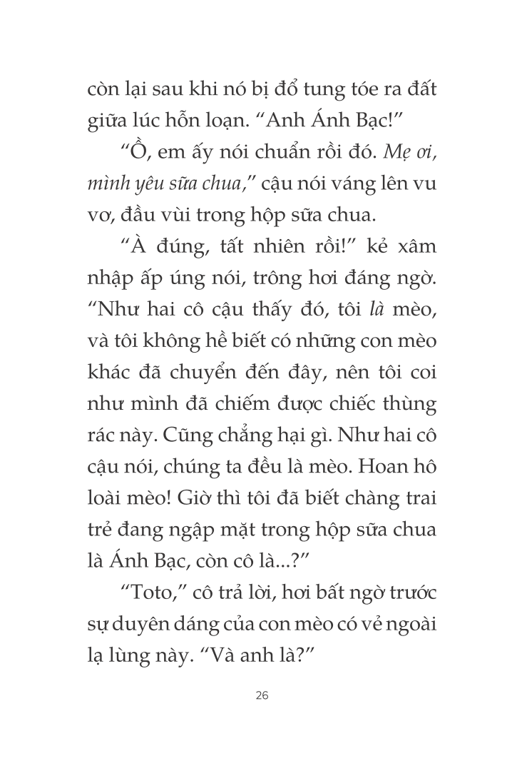 toto - cô mèo ninja - Ảnh 21