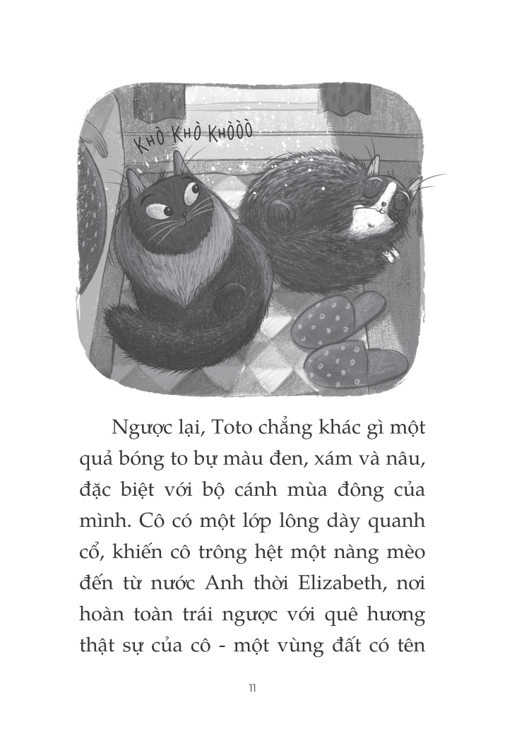 toto - cô mèo ninja - Ảnh 6