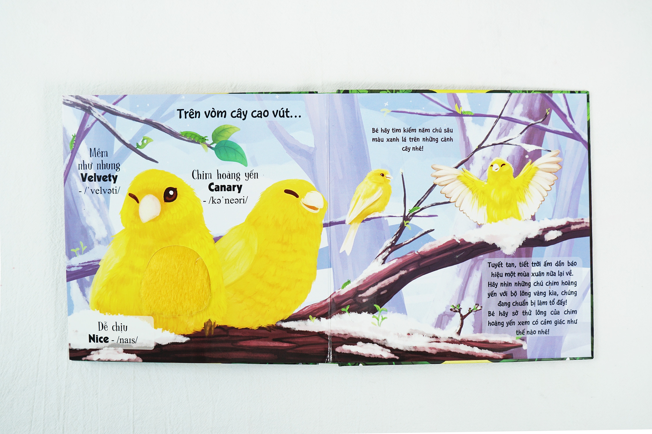 touch and feel - sách sờ chạm khám phá - thế giới động vật - bốn mùa tươi đẹp - Ảnh 6