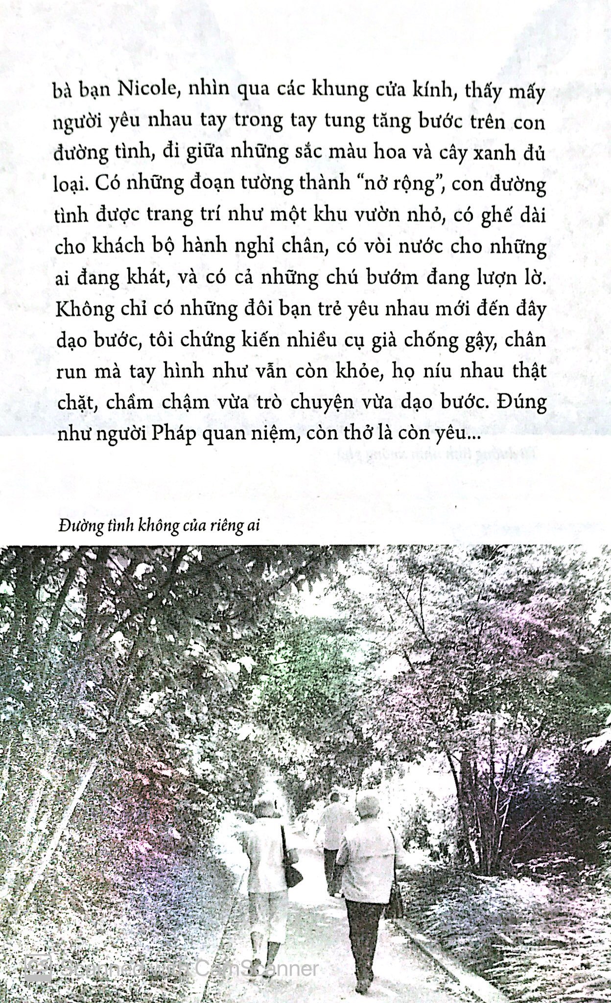 trả lại nụ hôn - Ảnh 11