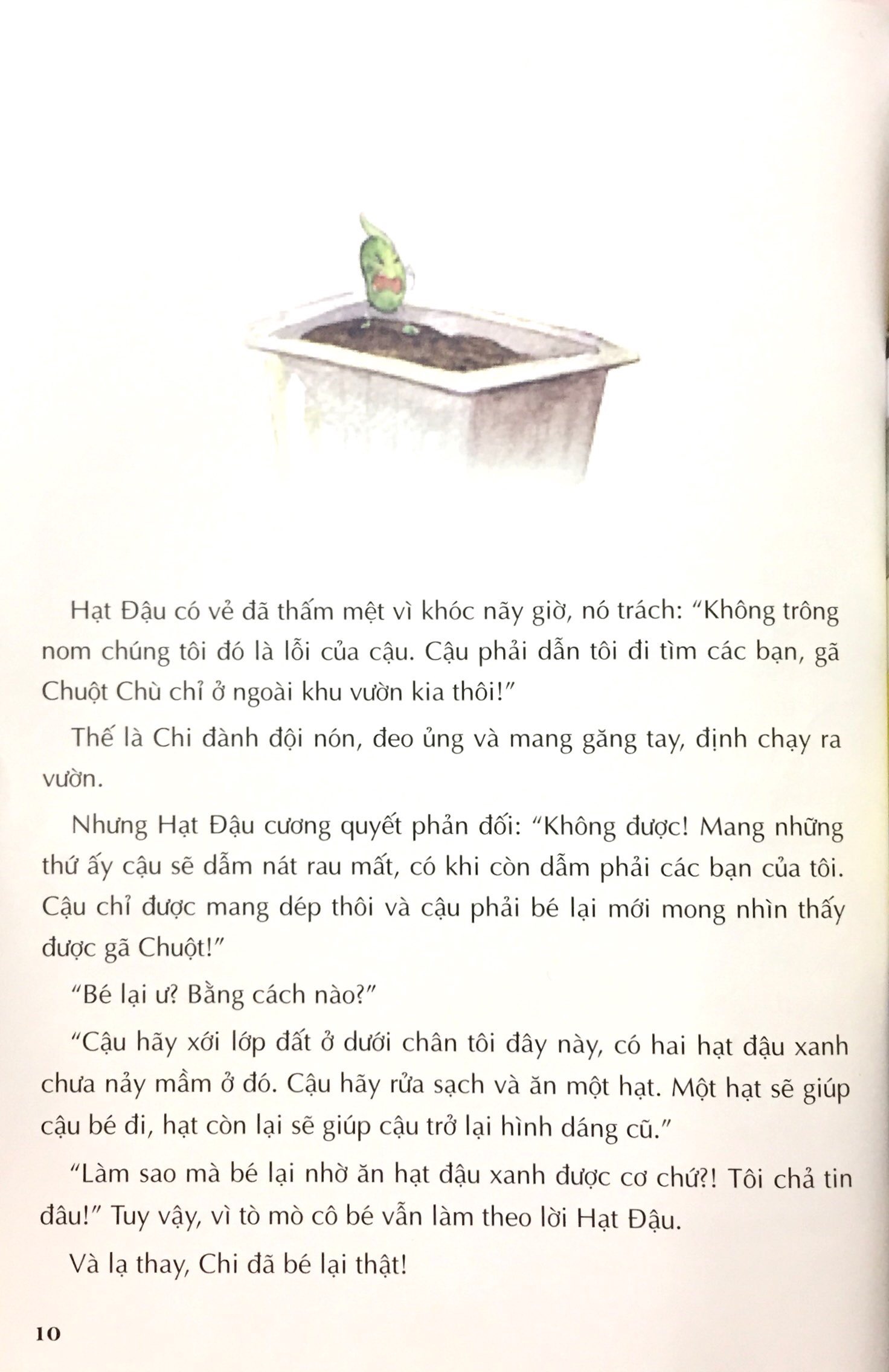 trái đất là một vòng tròn - Ảnh 8