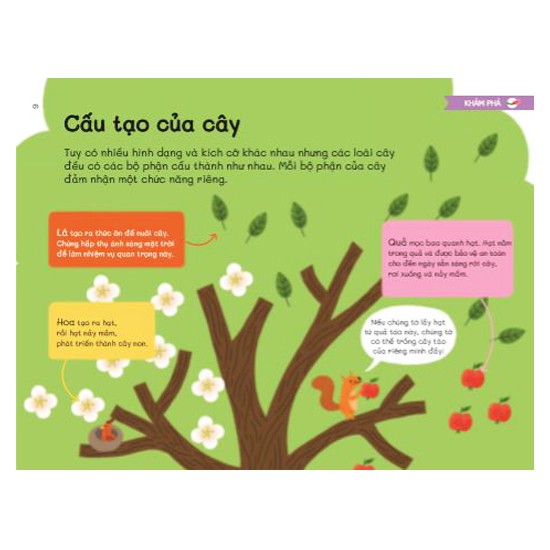 trái đất xinh đẹp có gì - một thế giới đầy cây - Ảnh 7