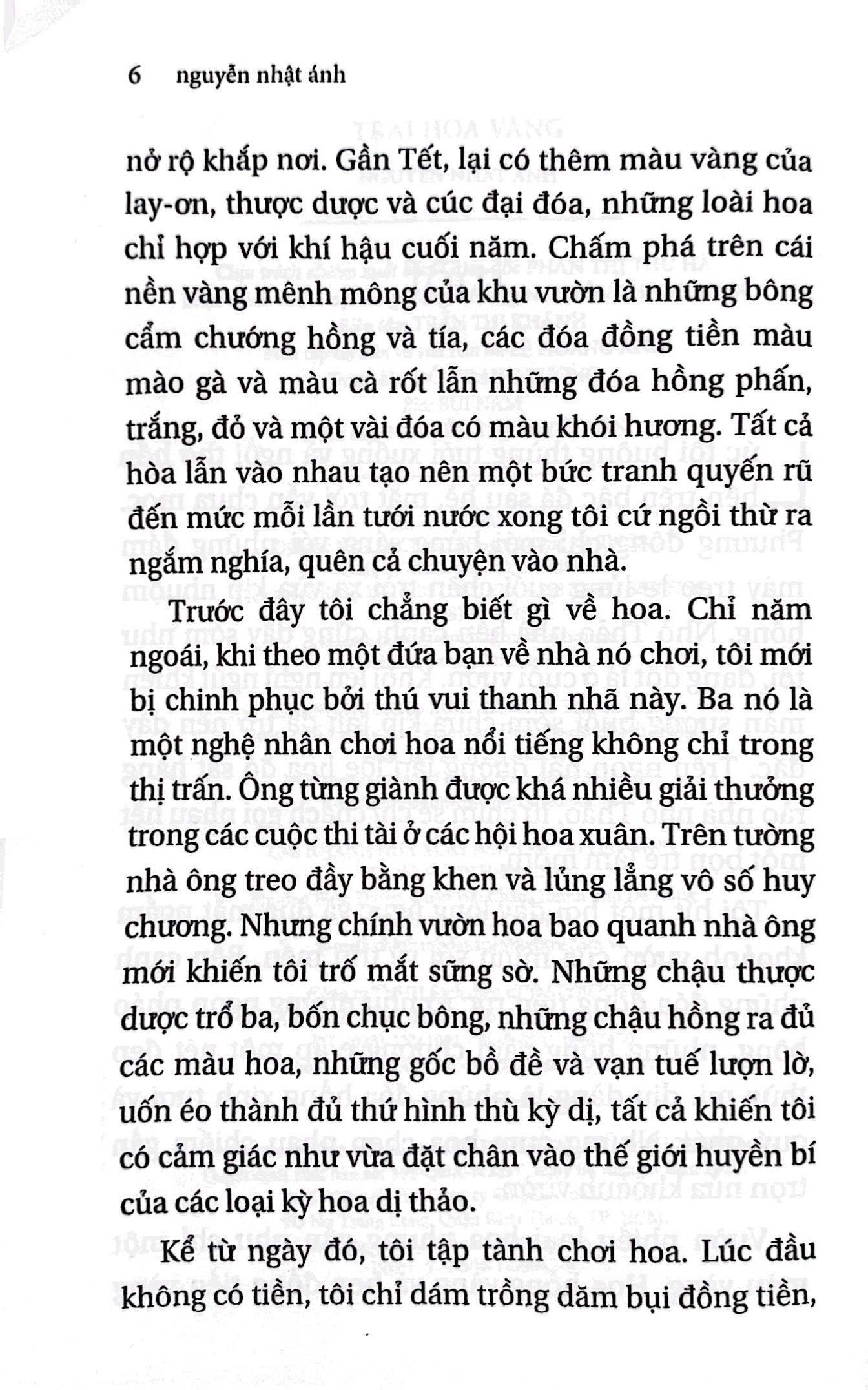 trại hoa vàng (tái bản 2022) - Ảnh 4