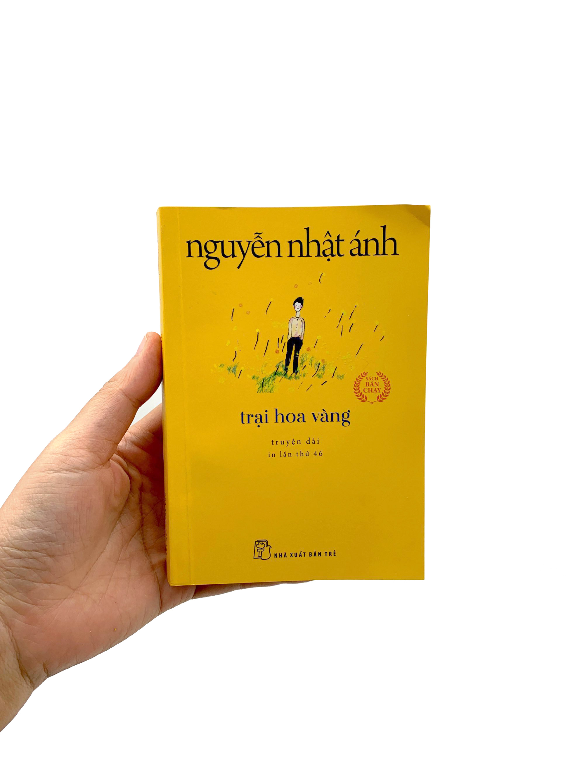 trại hoa vàng (tái bản 2022) - Ảnh 8