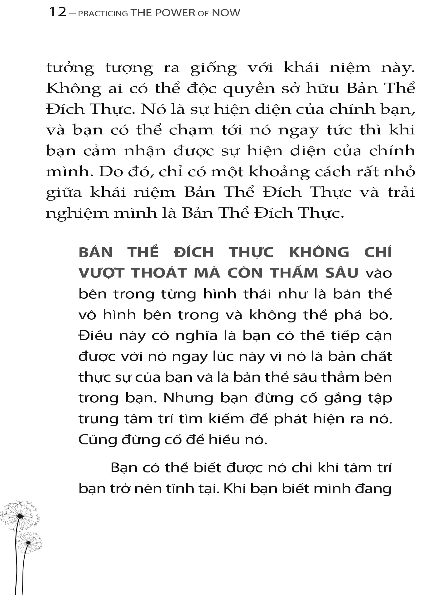 trải nghiệm sức mạnh hiện tại - Ảnh 3