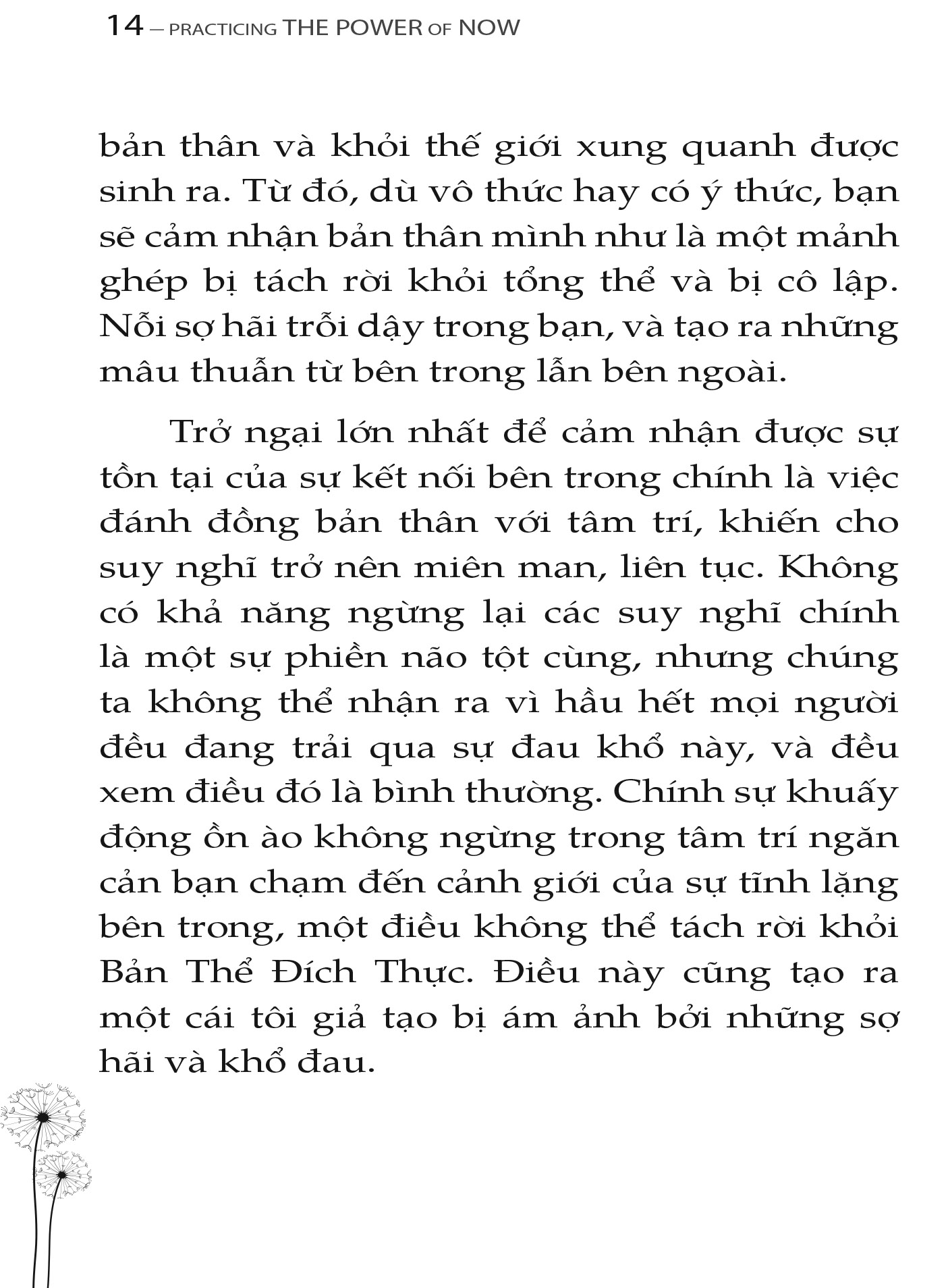 trải nghiệm sức mạnh hiện tại - Ảnh 5