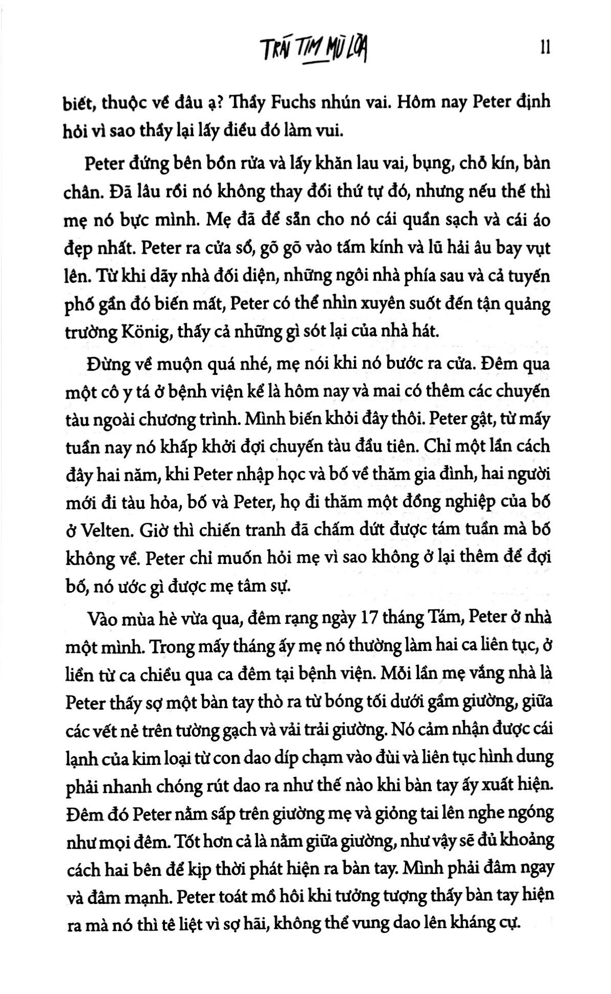 trái tim mù lòa (giải sách đức 2007) - Ảnh 8