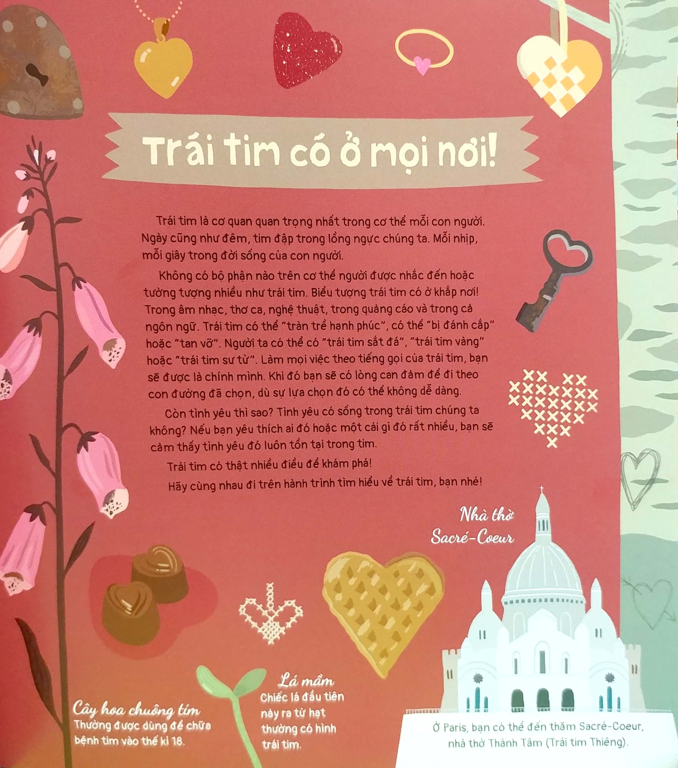 trái tim và hơn thế nữa - dưới góc nhìn sinh học và văn hóa, kèm theo các trò chơi và thực hành thú vị - Ảnh 3