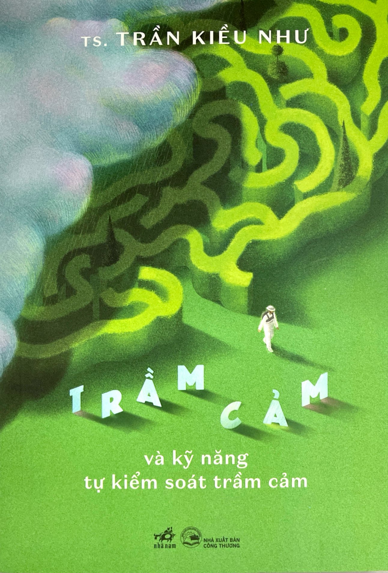 trầm cảm và kỹ năng tự kiểm soát trầm cảm - Ảnh 2