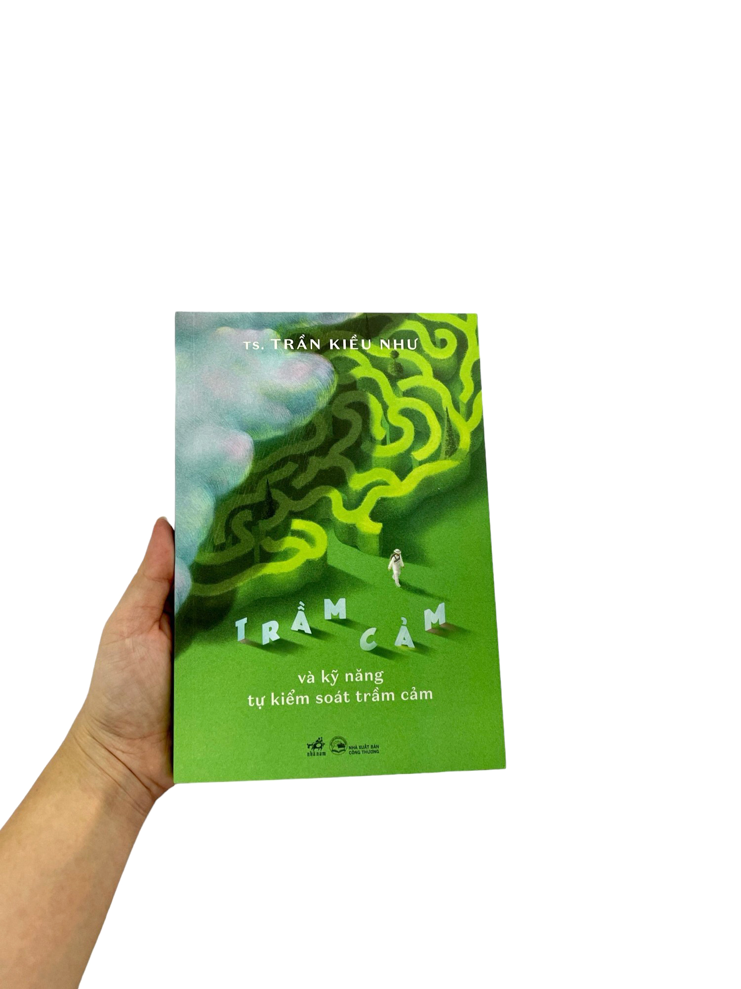 trầm cảm và kỹ năng tự kiểm soát trầm cảm - Ảnh 8