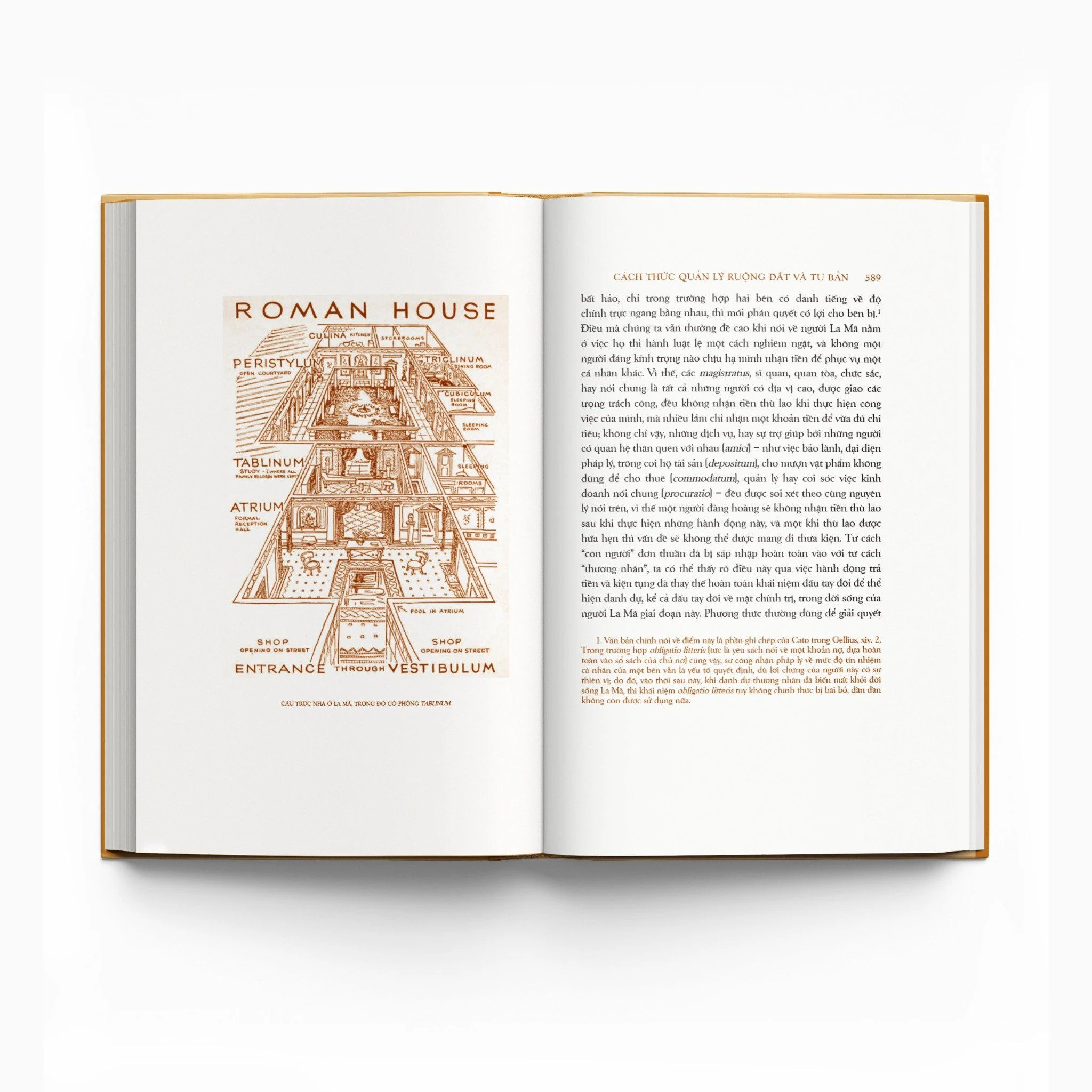 trăm năm nobel - lịch sử la mã - tập ii - quyển iii - ấn bản giới hạn - bìa cứng - Ảnh 15