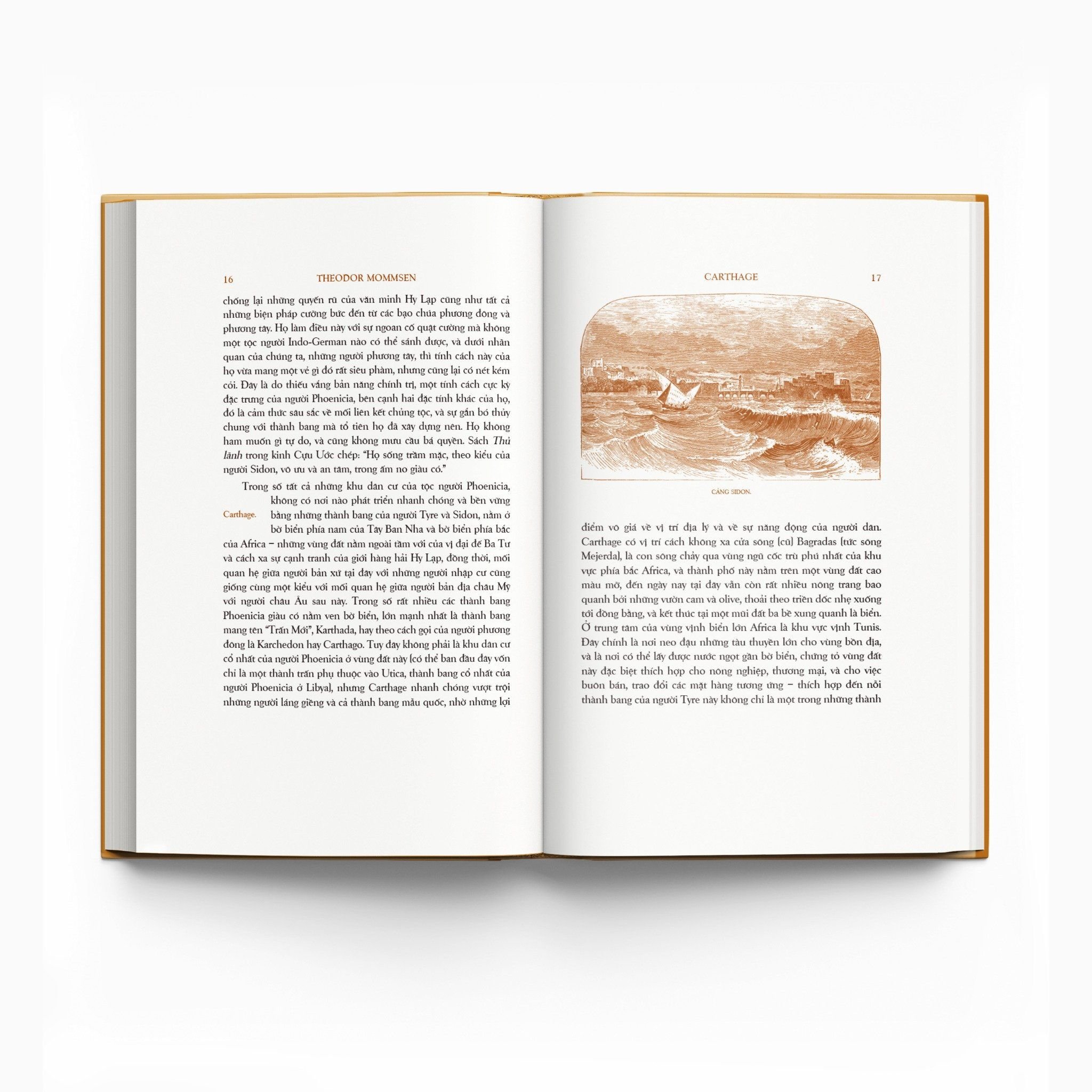 trăm năm nobel - lịch sử la mã - tập ii - quyển iii - ấn bản giới hạn - bìa cứng - Ảnh 4