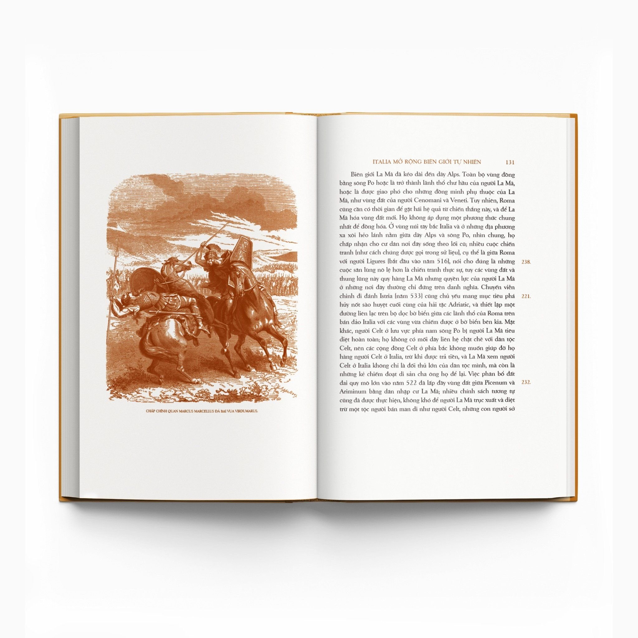 trăm năm nobel - lịch sử la mã - tập ii - quyển iii - ấn bản giới hạn - bìa cứng - Ảnh 6