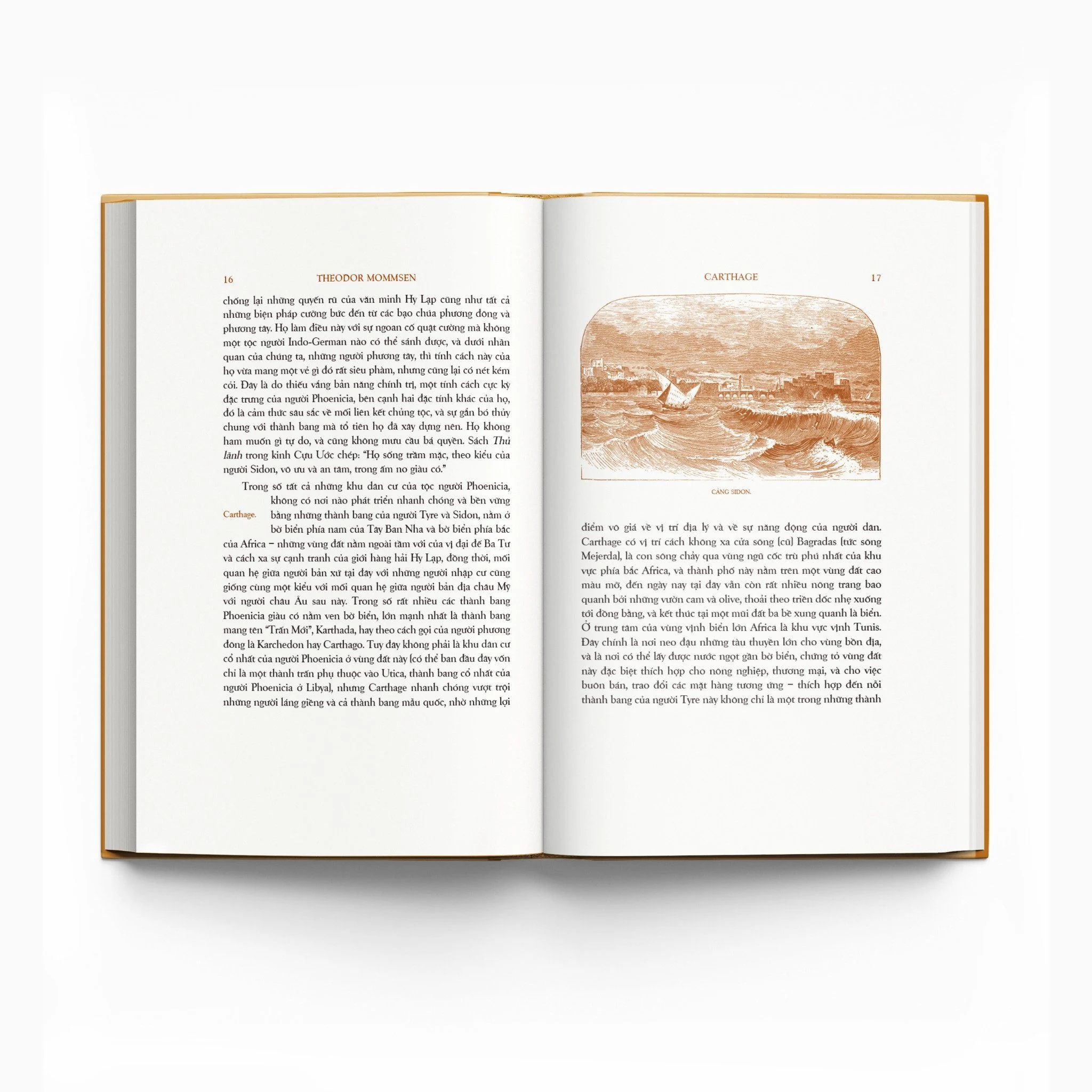 trăm năm nobel - lịch sử la mã - tập ii - quyển iii - ấn bản giới hạn - bìa cứng - Ảnh 7