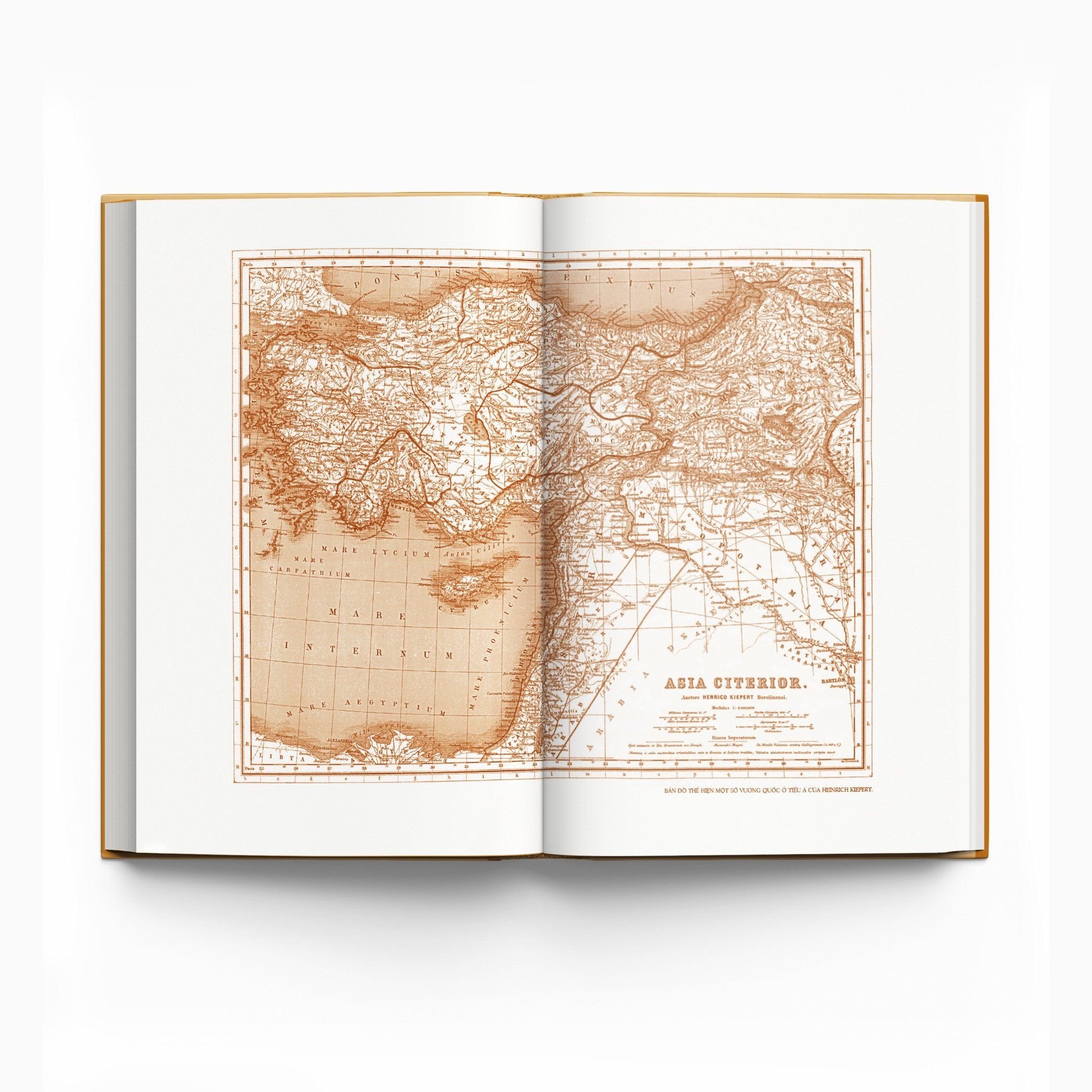 trăm năm nobel - lịch sử la mã - tập ii - quyển iii - ấn bản giới hạn - bìa cứng - Ảnh 8