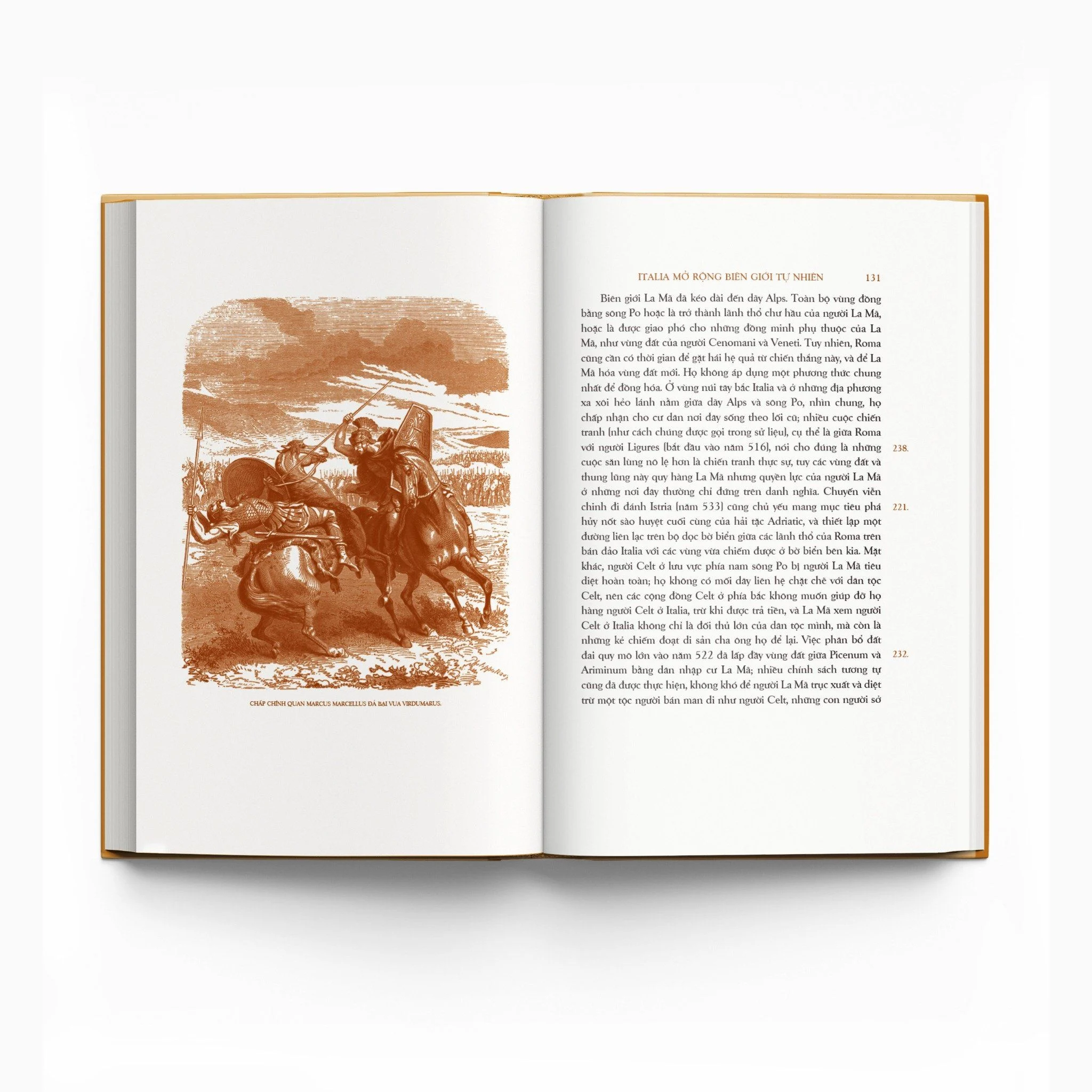 trăm năm nobel - lịch sử la mã - tập ii - quyển iii - ấn bản giới hạn - bìa cứng - Ảnh 9