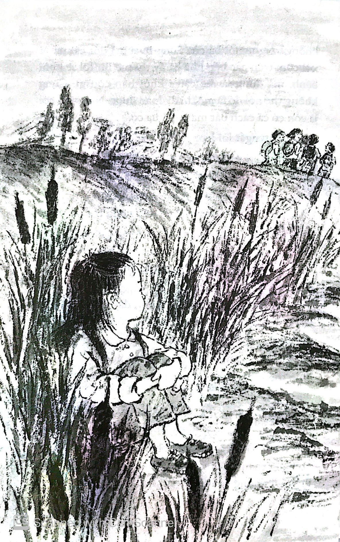 trăng có biết không - Ảnh 8