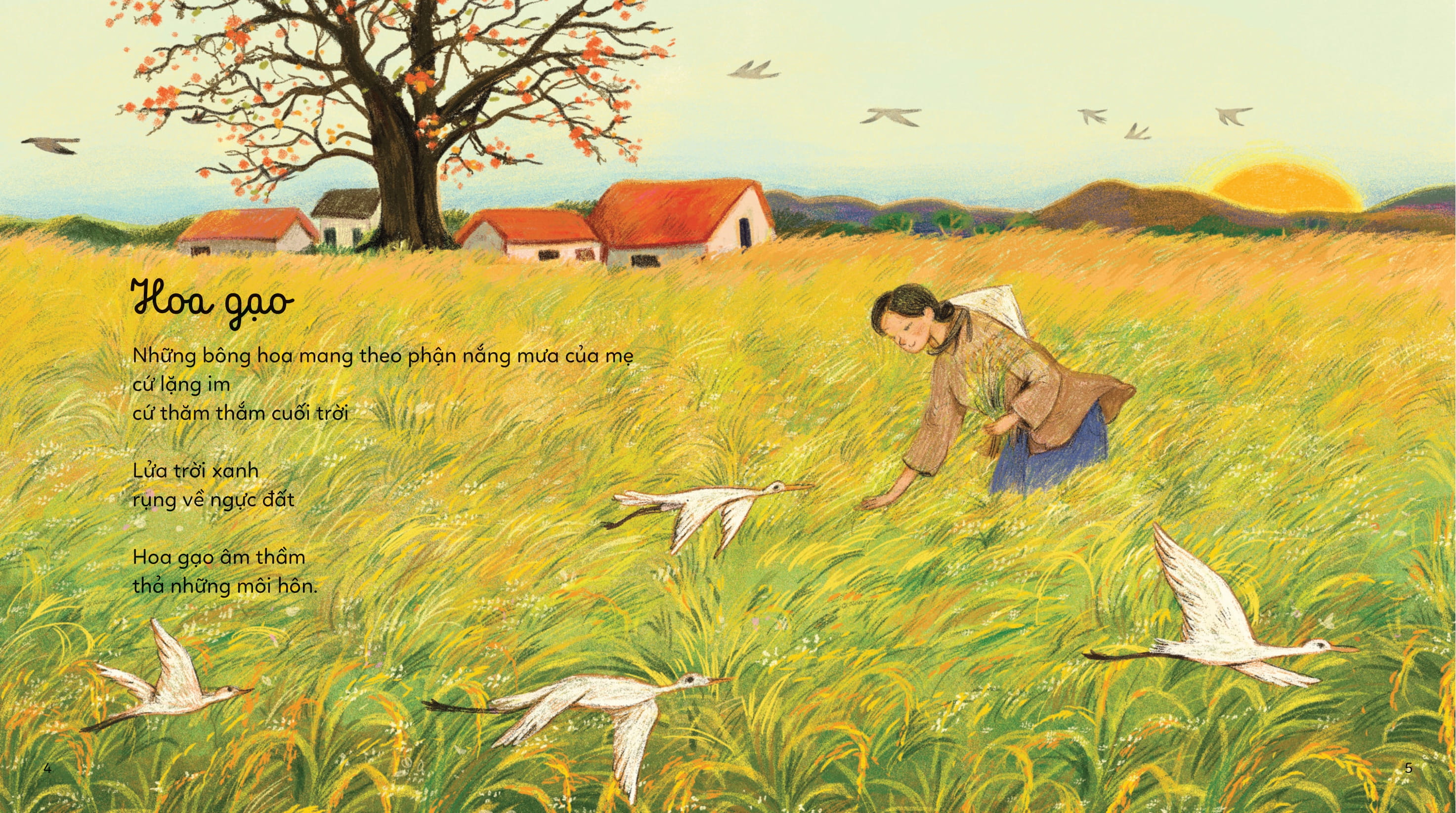 trắng mây tóc mẹ - Ảnh 4