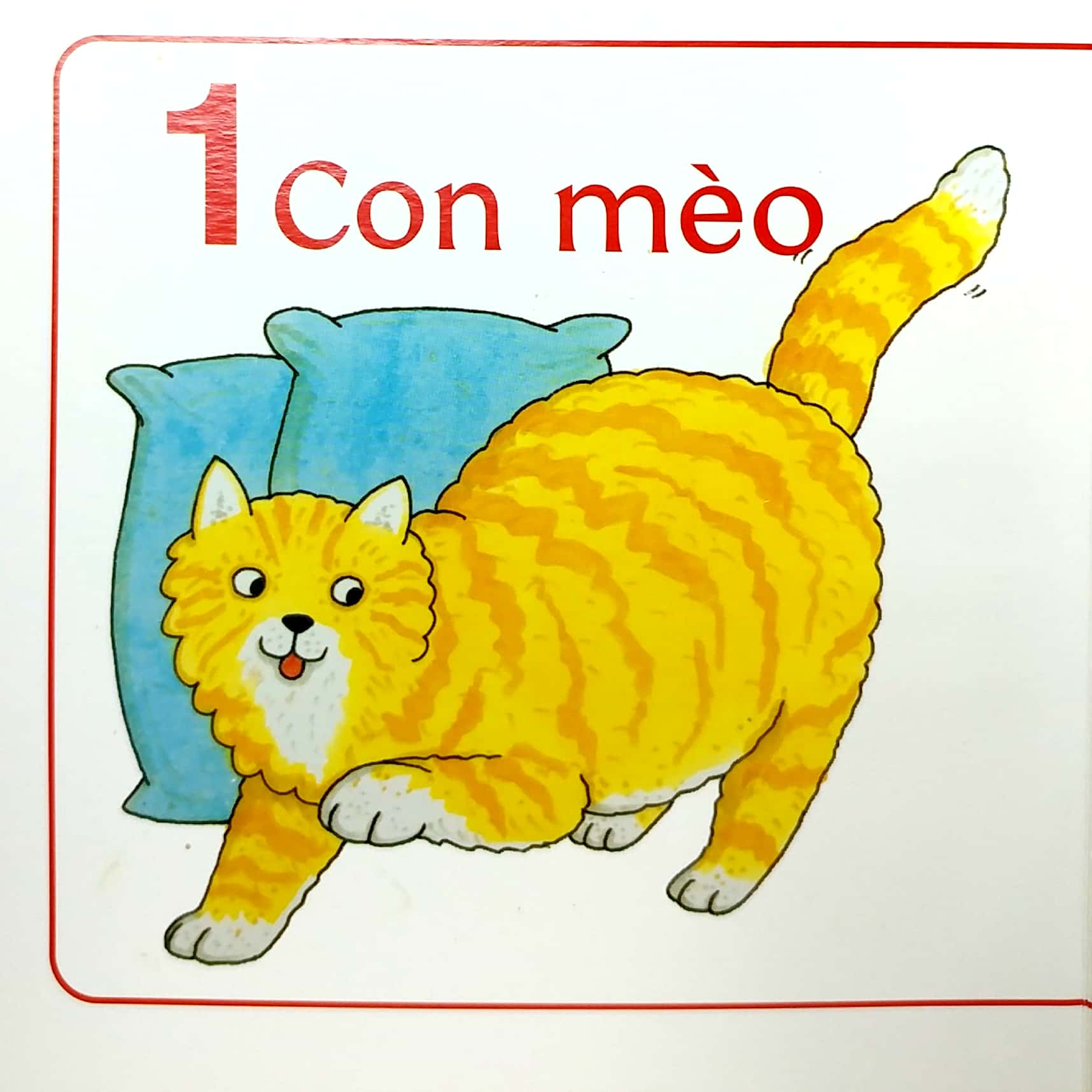 trang trại 123 - Ảnh 3