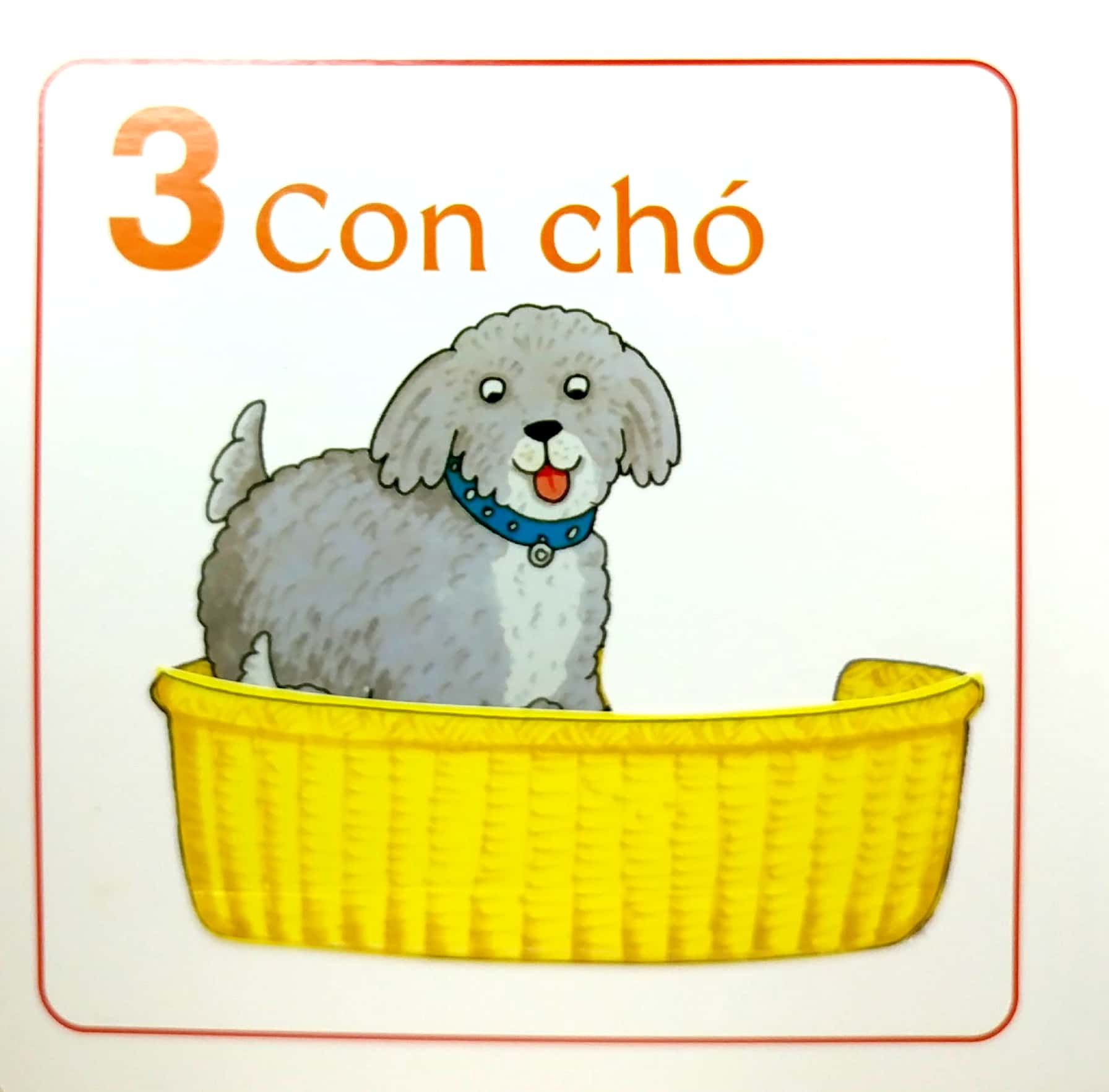 trang trại 123 - Ảnh 5