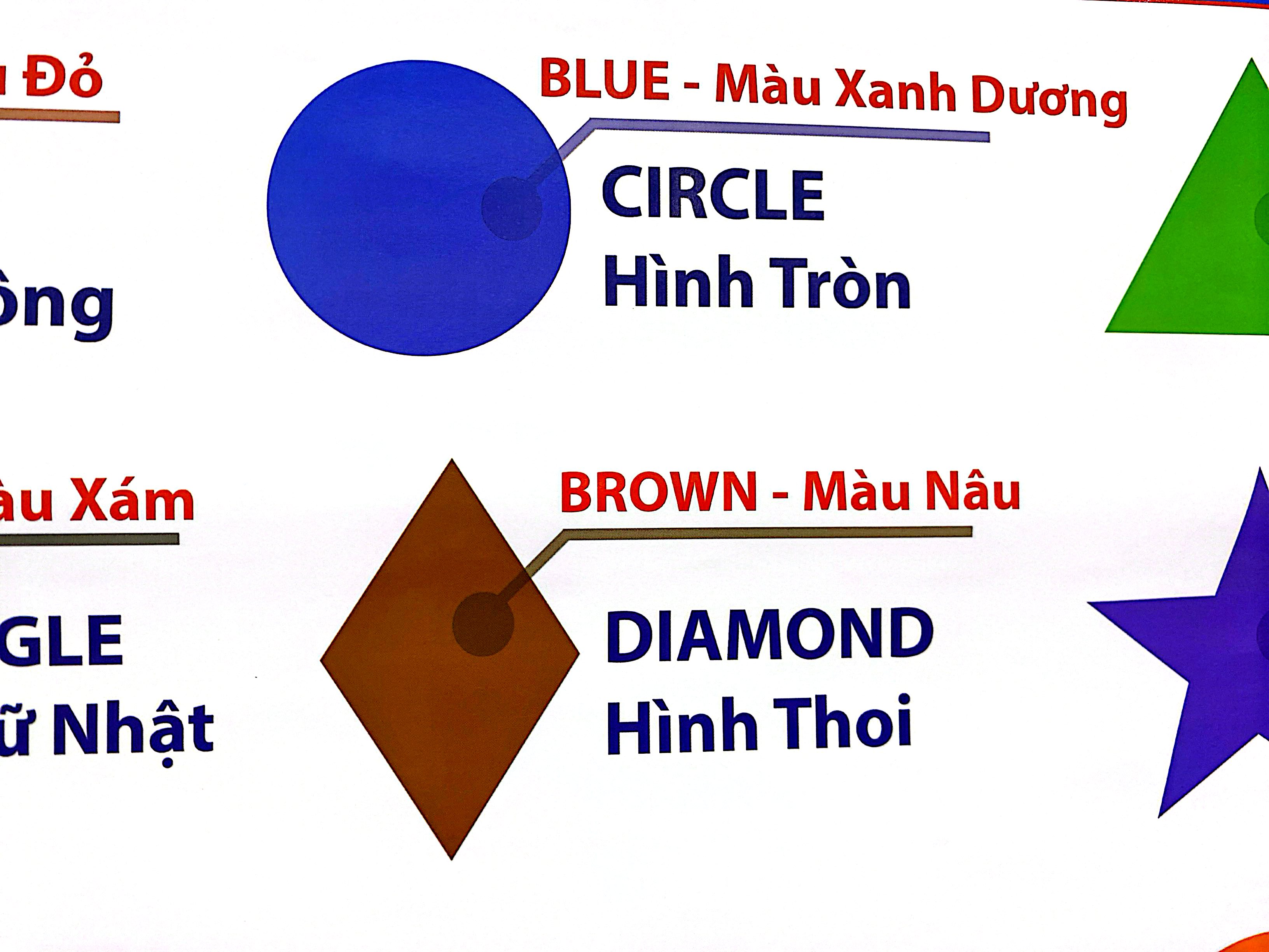 Tranh Màu Sắc Và Hình Dạng - Ảnh 5