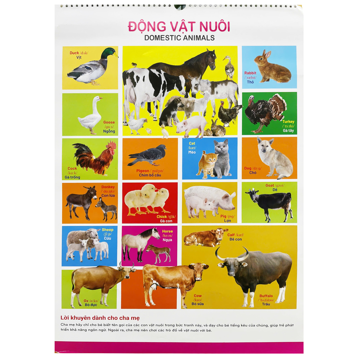 tranh treo tường cho bé (dành cho bé từ 2 đến 6 tuổi) - Ảnh 5