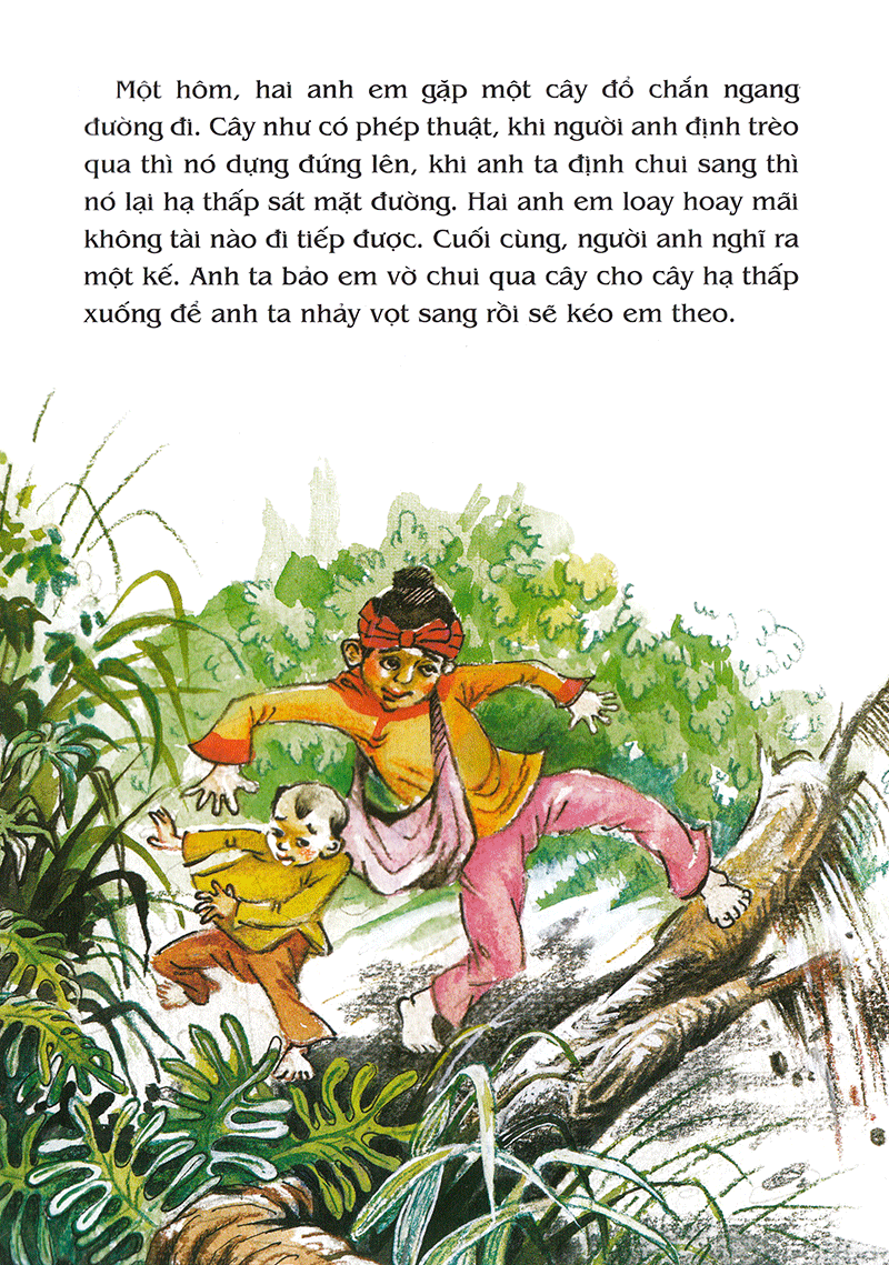 Tranh Truyện Dân Gian Việt Nam - Hai Anh Em Và Cây Thuốc Thần (Tái Bản 2019) - Ảnh 5