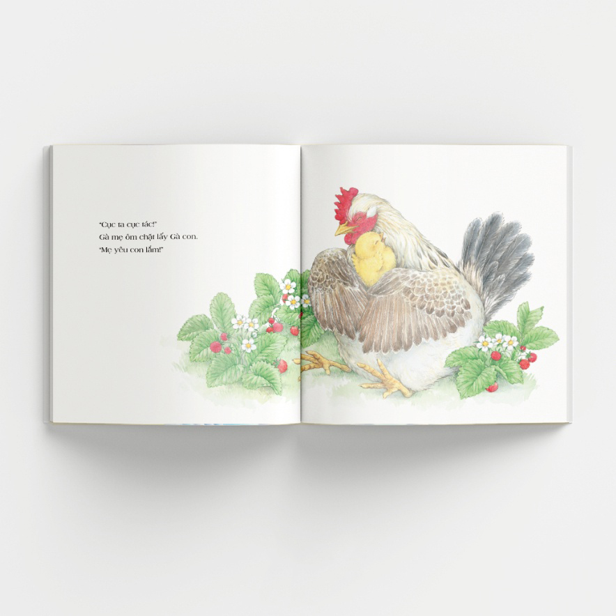 tranh truyện ehon cho bé - này, cậu ơi! (tái bản 2023) - Ảnh 5